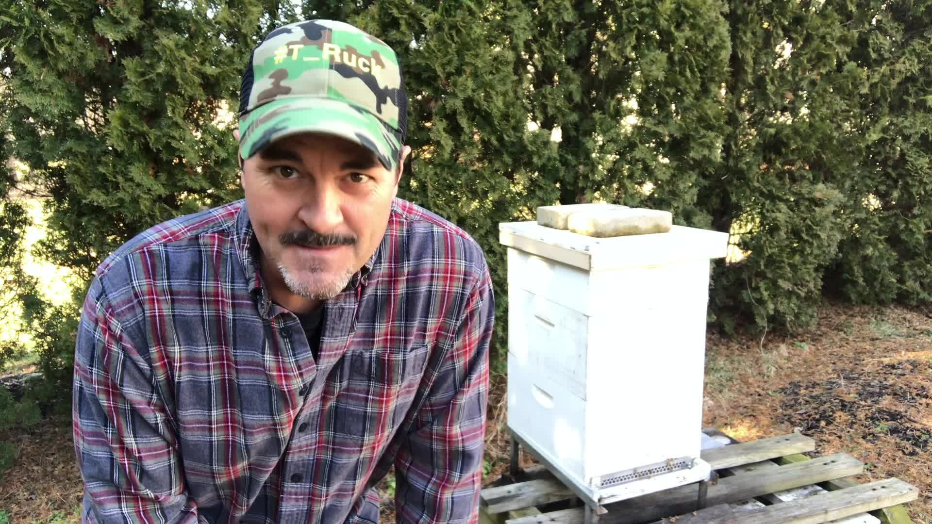 TRaveling with T_Ruck 🌎  feeding honey bees.