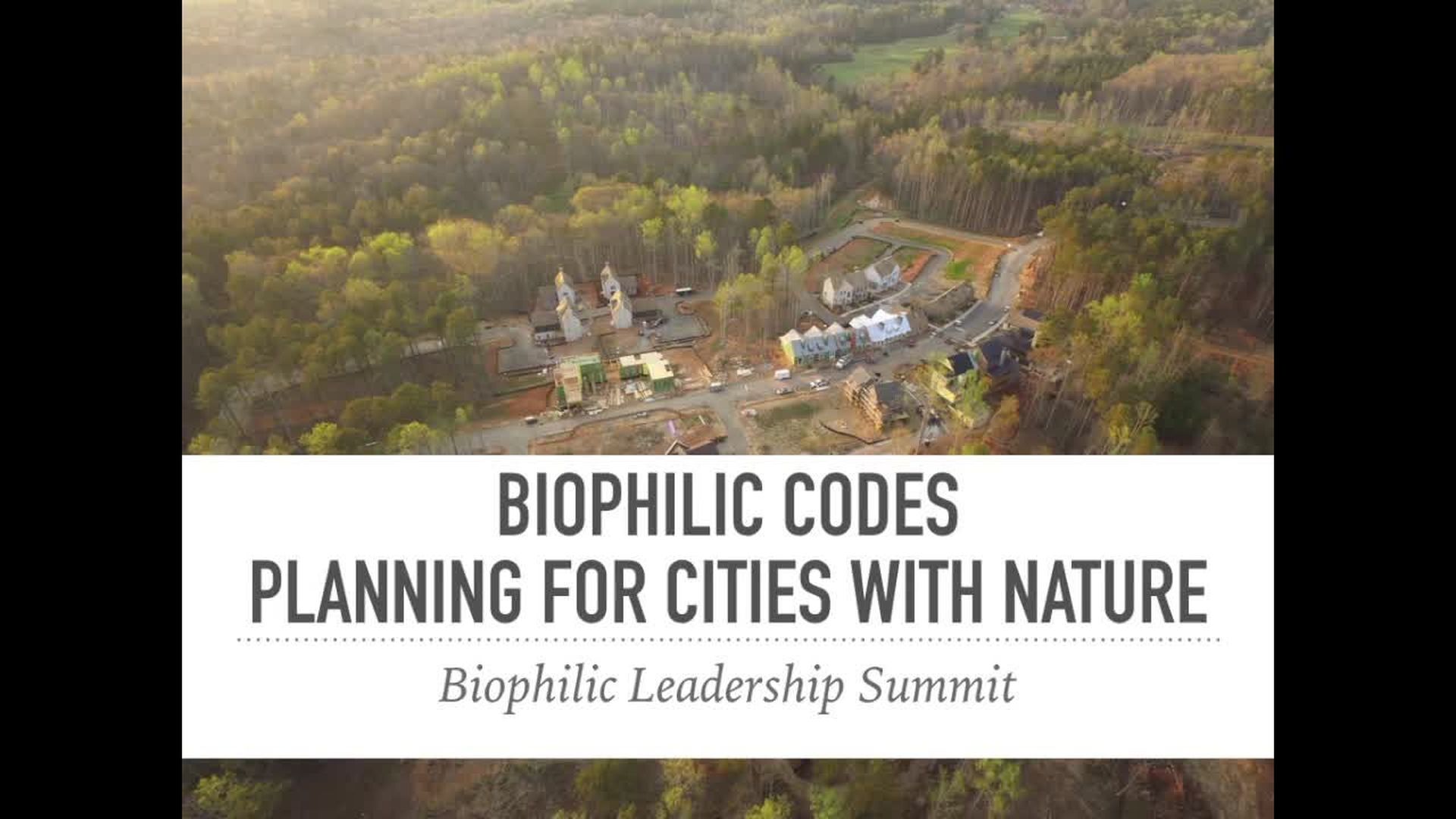 Biophilic Codes: Planning for Cities with Nature 