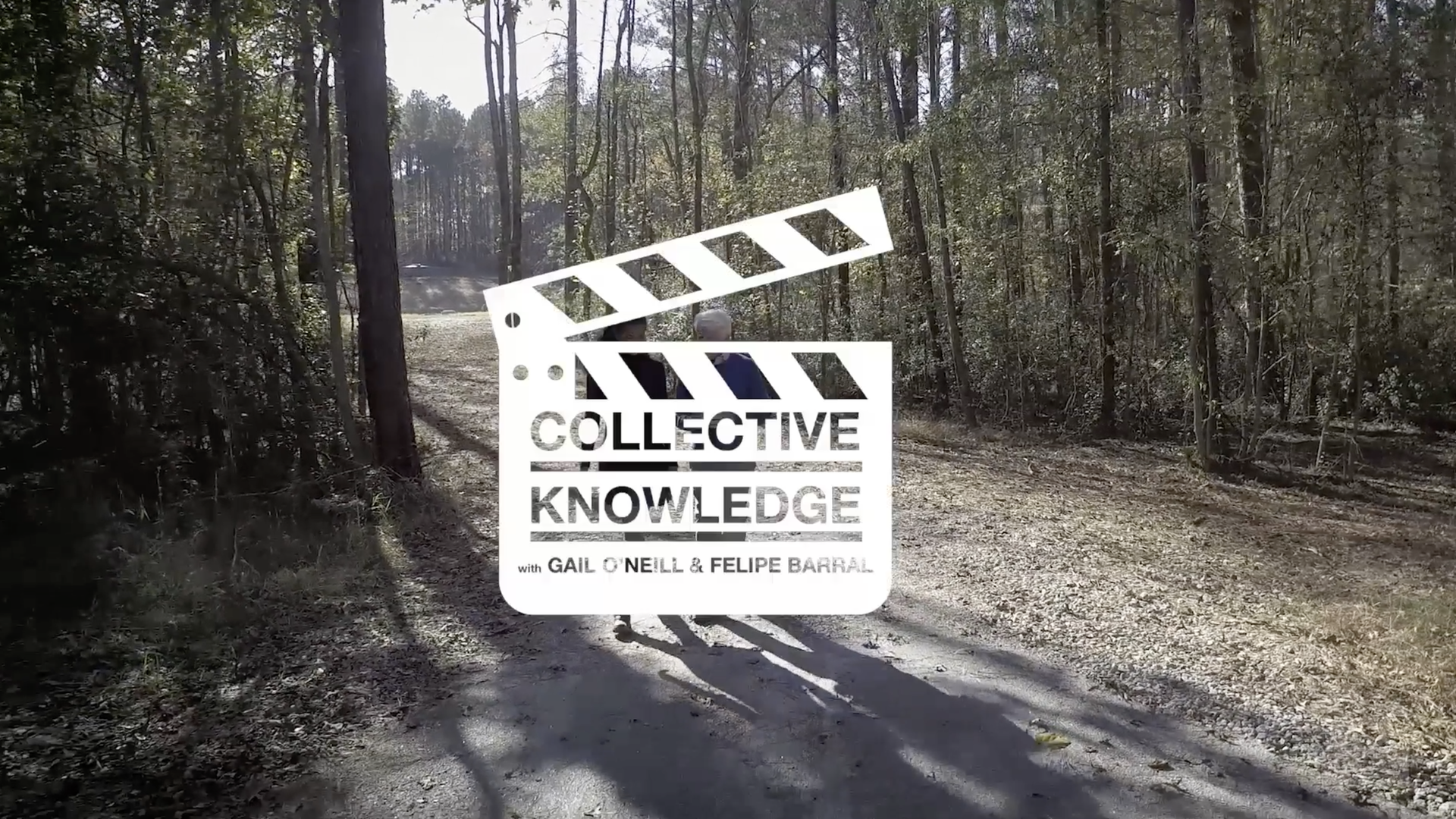 Collective Knowledge Episode 4 with Steve Nygren