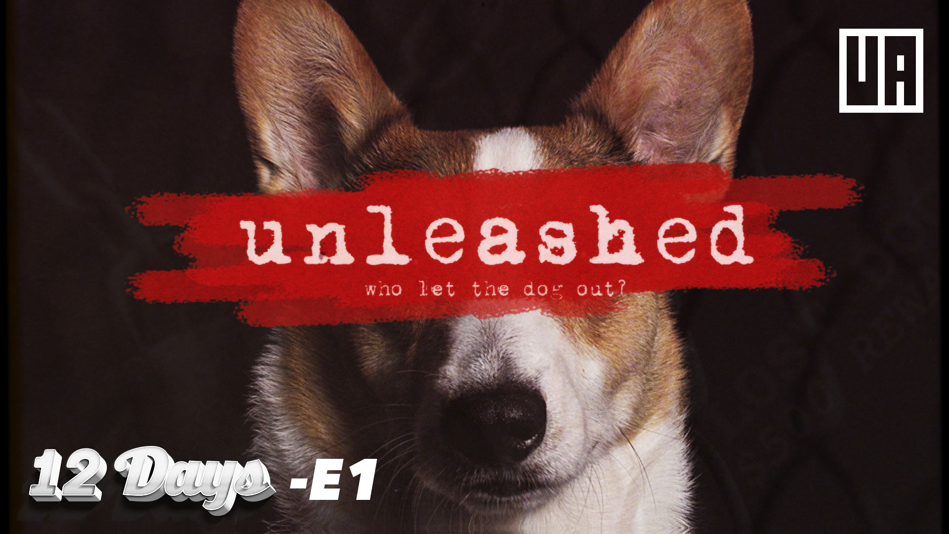 E1 - Unleashed - "Who Let the Dog Out?"