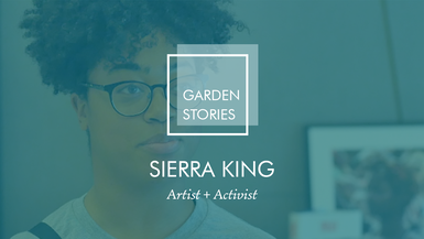 Garden Stories: Sierra King