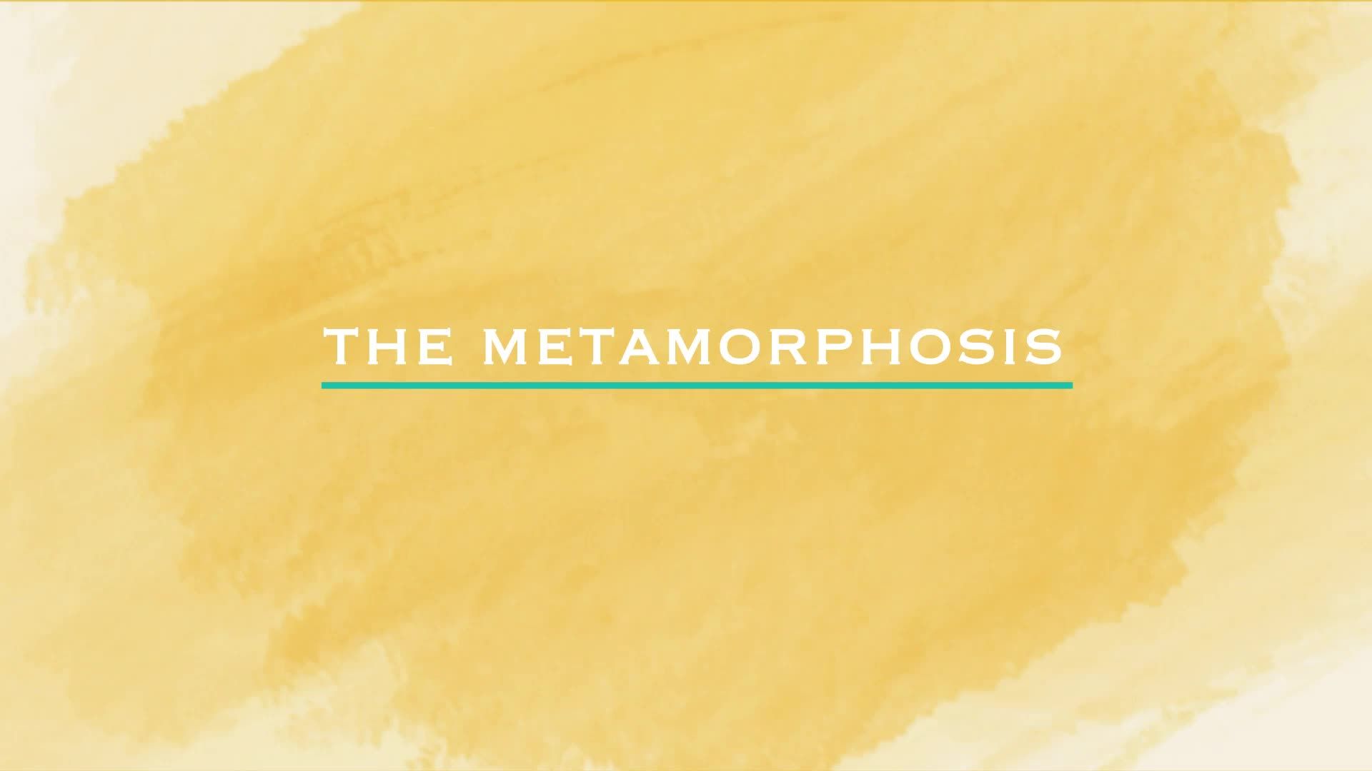 The Metamorphosis - Ep. 3
