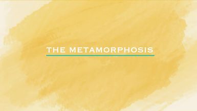 The Metamorphosis - Ep. 3