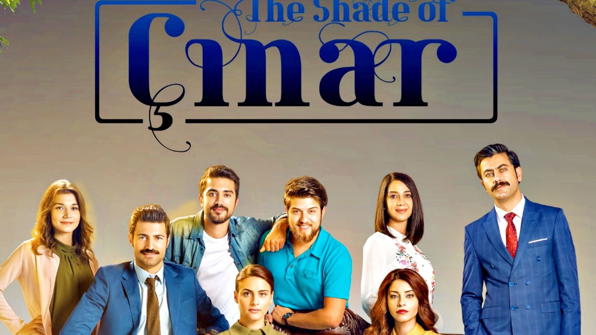 The Shade Of Cinar
