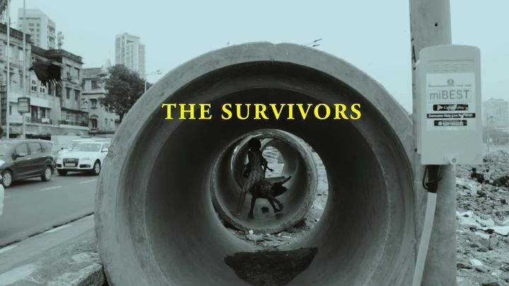 The Survivors