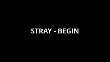 Stray Begin