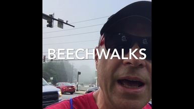 Beechwalks: Traffic is COOL