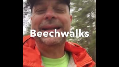 Beechwalks: Mad like a neighbor