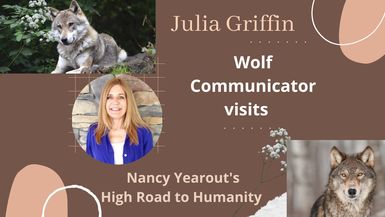 Communicating with Wolves- Julia Griffin tells her Story On High Road to Humanity