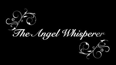 Angel Whisperer, Michael Terzi Visit's High Road to Humanity