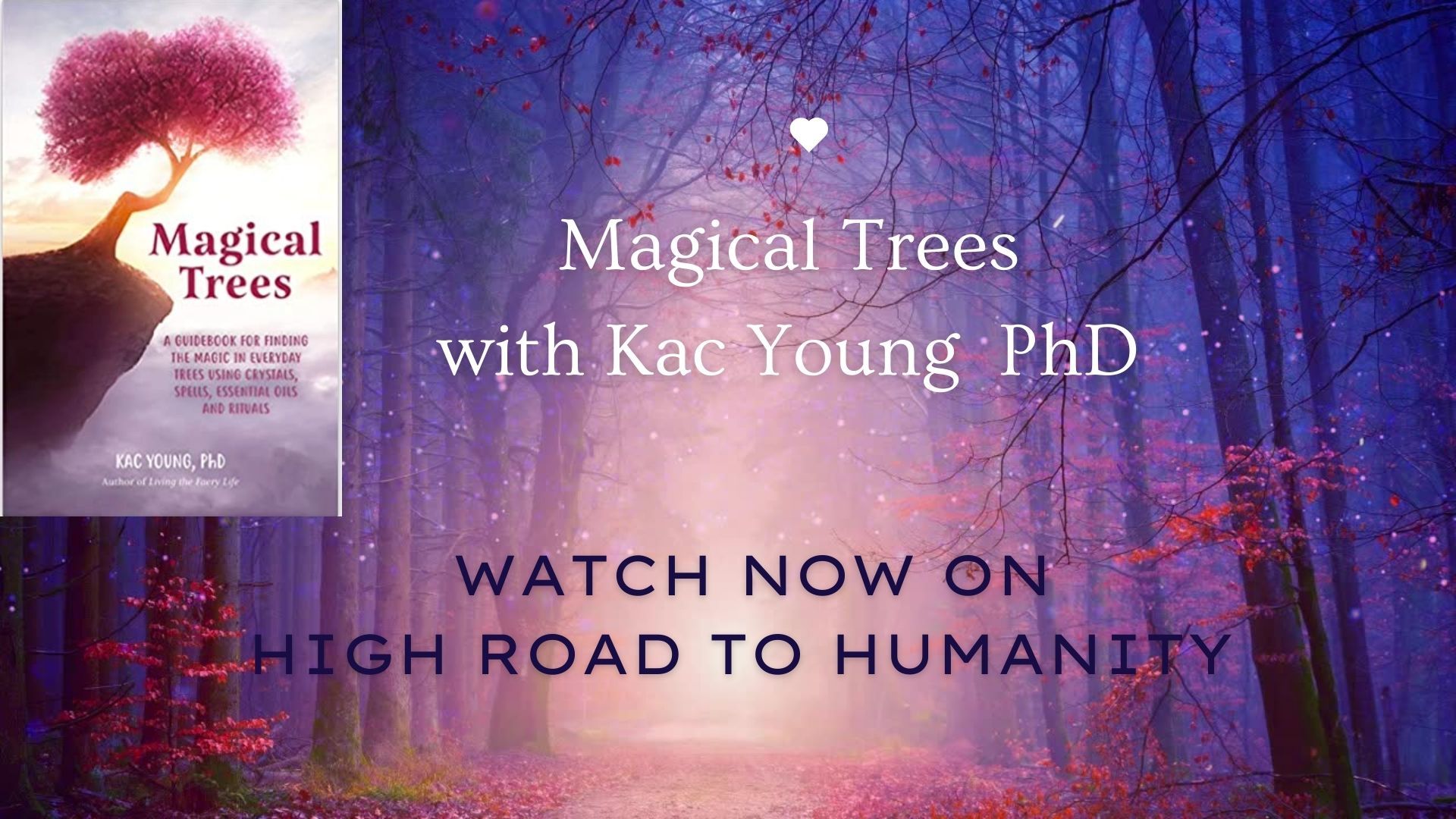 Magical Trees and Their Healing & Spiritual Aspects