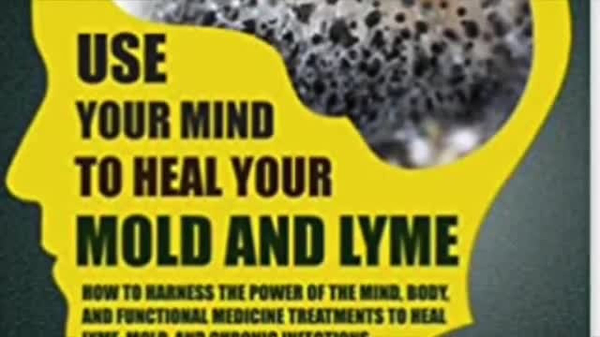 Mold and Lyme Disease - Use Your Mind to Heal with Dr Miles Nichols on High Road to Humanity