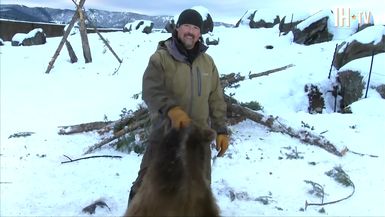 Discovery's 'Man Vs Bear' with 10-Month Old Bear Max & Casey Anderson