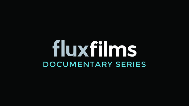 Flux Projects