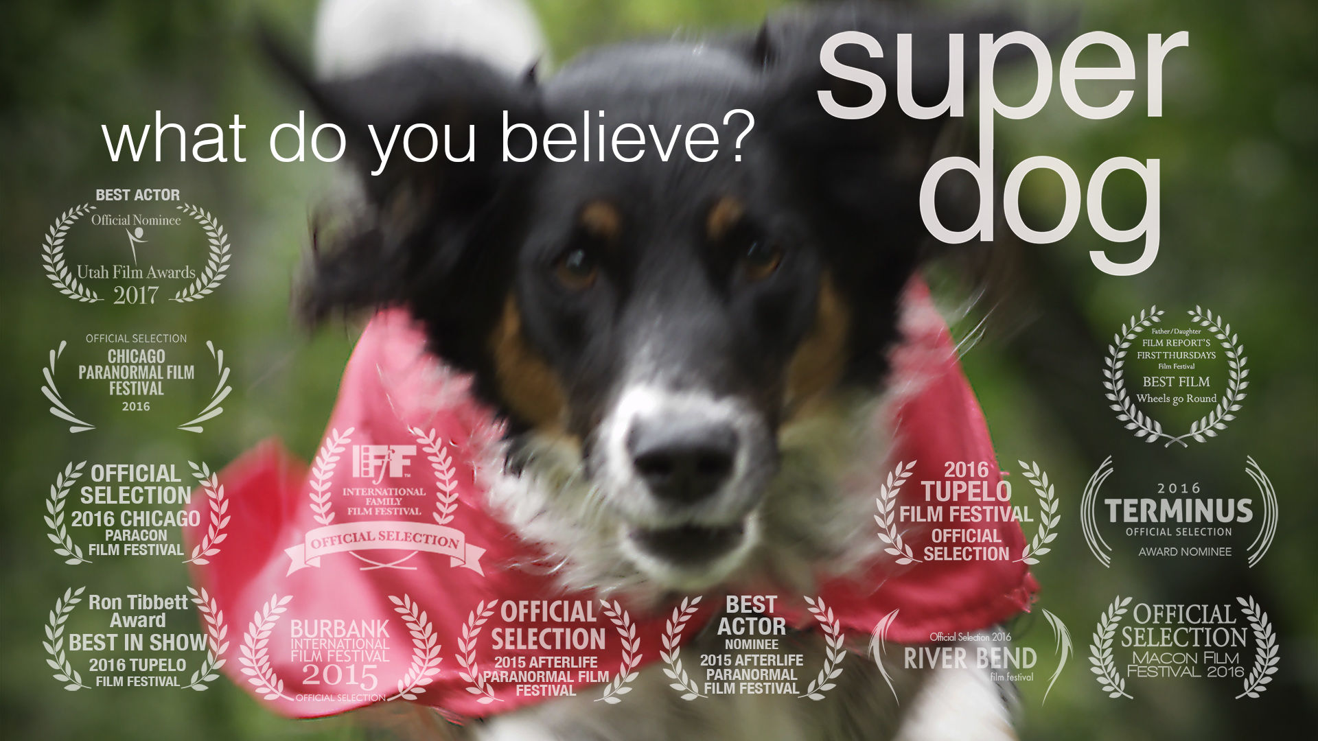 Super Dog (2015)