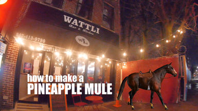  Local 2 Local: Wattli Bar & the Pineapple Mule