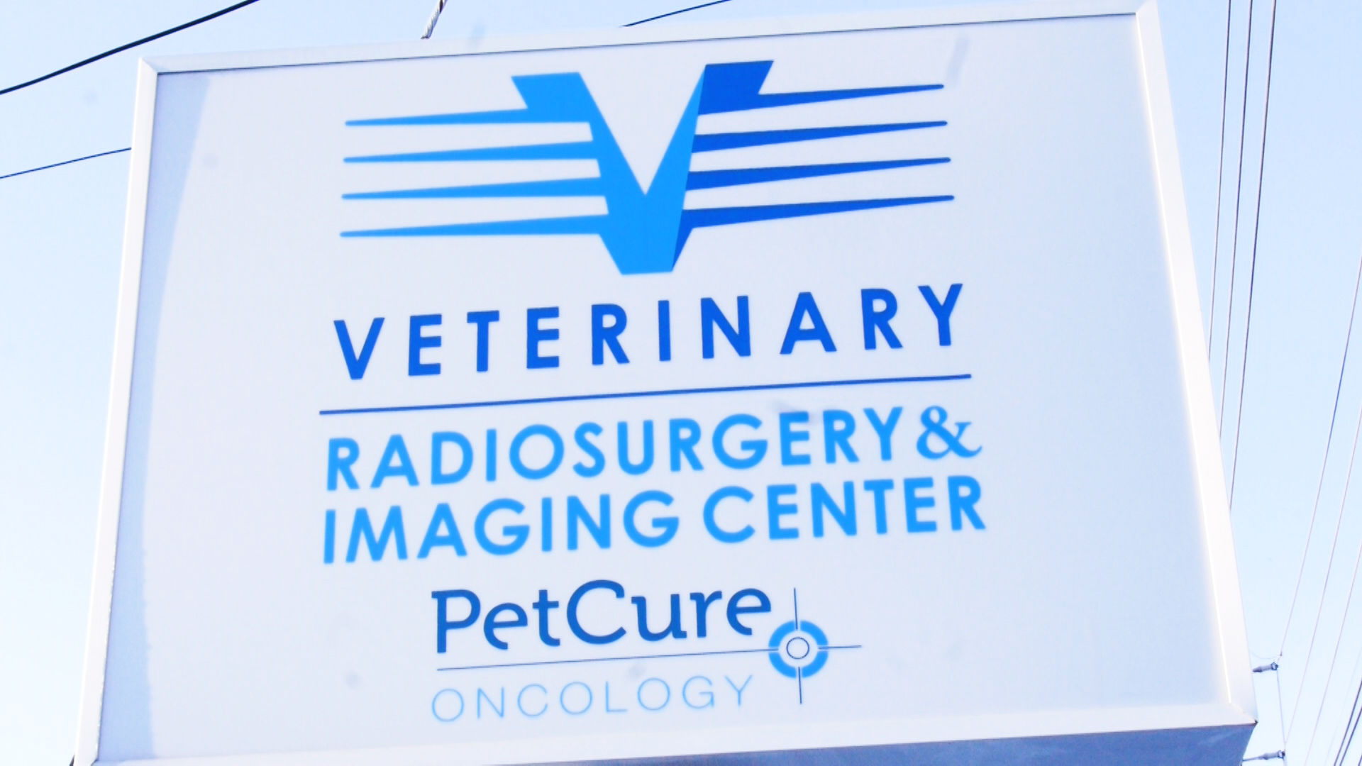 Local 2 Local: Pet Cure Oncolgy Center