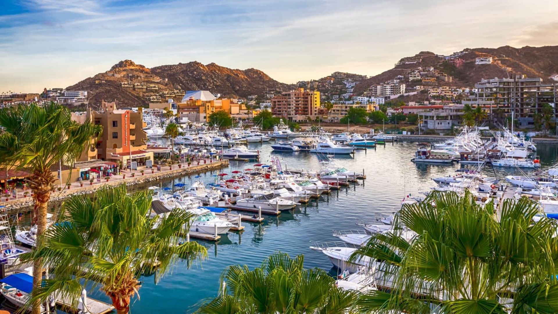Your Travel Guide to Cabo