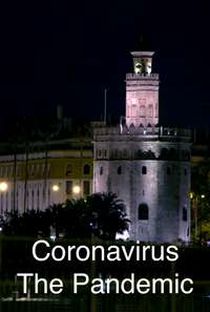 CORONAVIRUS, THE PANDEMIC