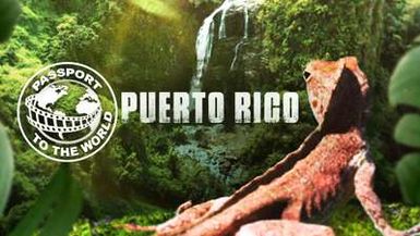PASSPORT TO THE WORLD:PUERTO RICO