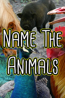BLINKY NAME THE ANIMALS- GOAT