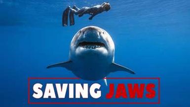 SAVING JAWS