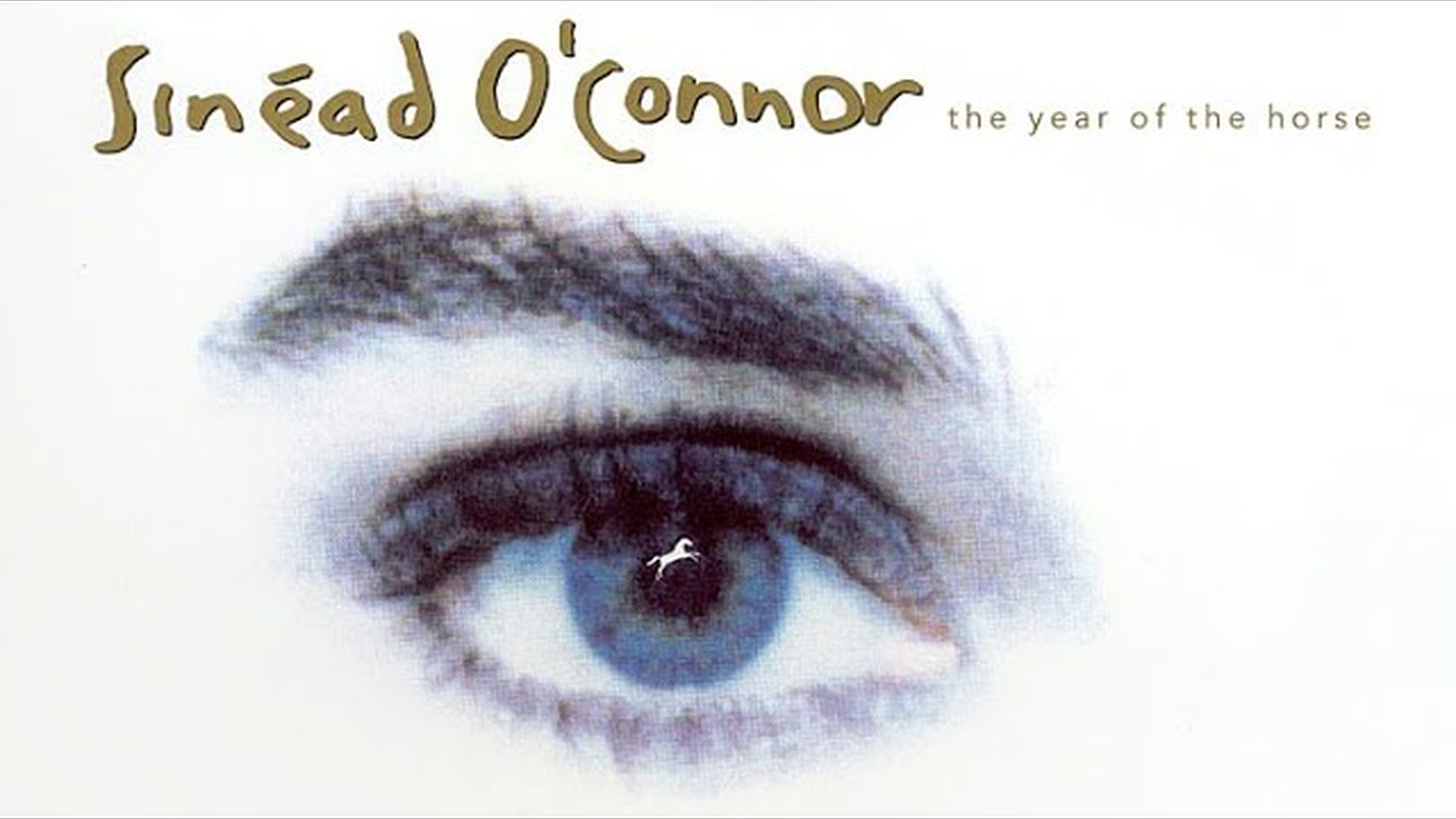Sinéad O'Connor - The Year of the Horse (Live 1990)