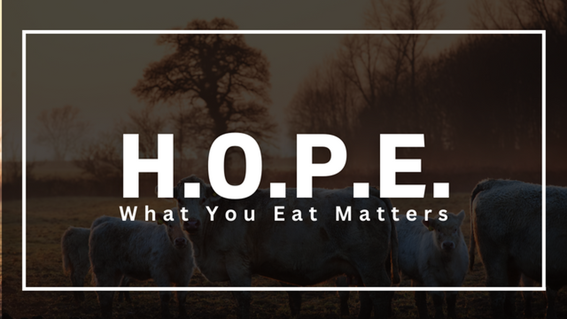 H.O.P.E.: What You Eat Matters