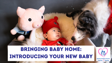 Bringing Baby Home: Introducing Your New Baby