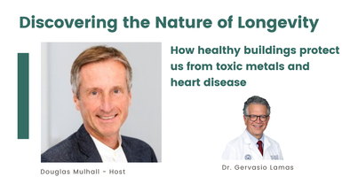 How healthy buildings protect us from toxic metals and heart disease
