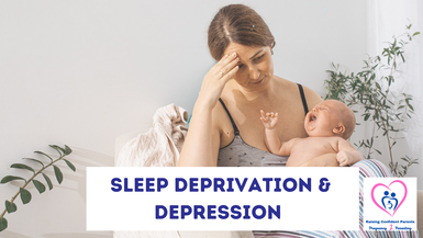 Chapter 8 - Sleep Deprivation and Postpartum Depression