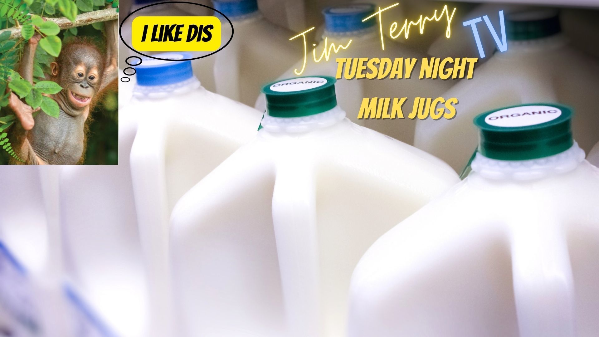 Jim Terry TV:  Tuesday Night Milk Jugs (S1:E17)