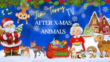 Jim Terry TV: After Xmas Animals (S1:E37)