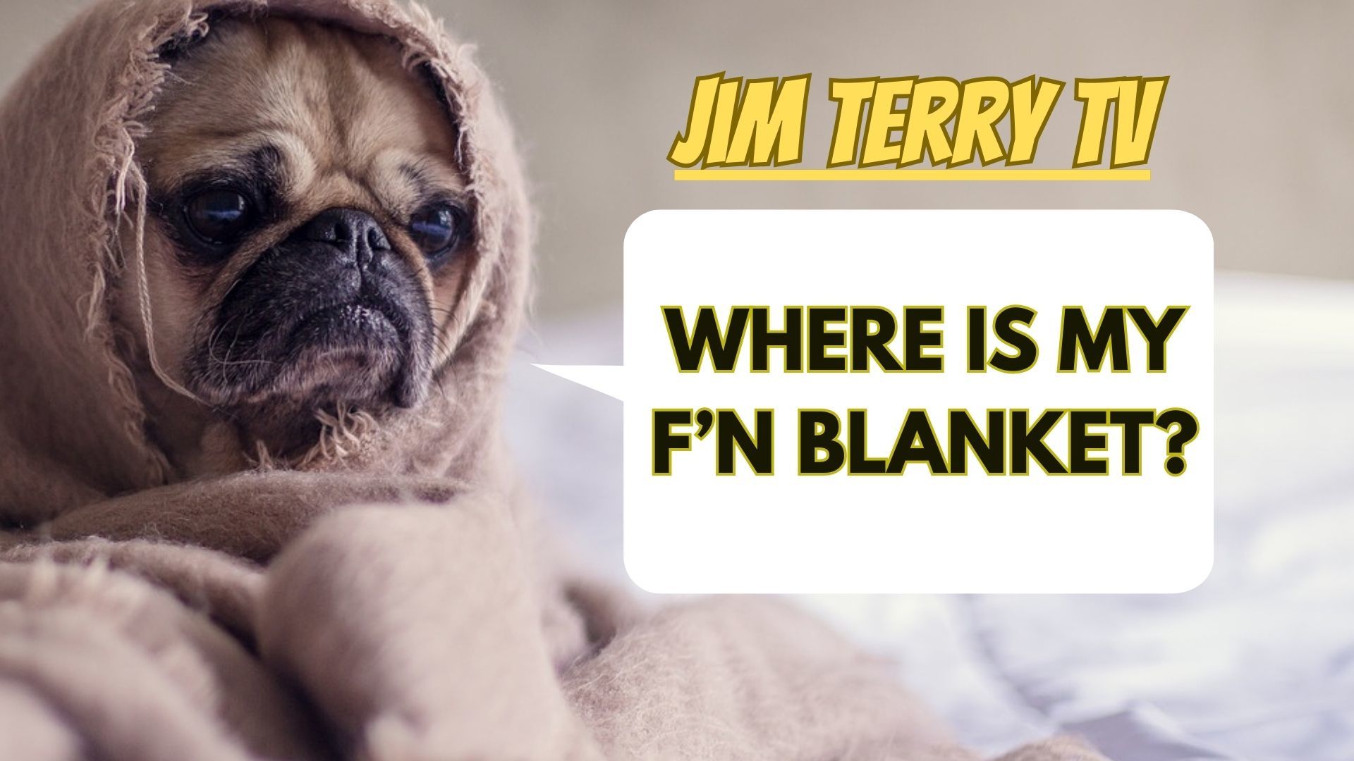 Jim Terry TV: Where is my F'n Blanket?