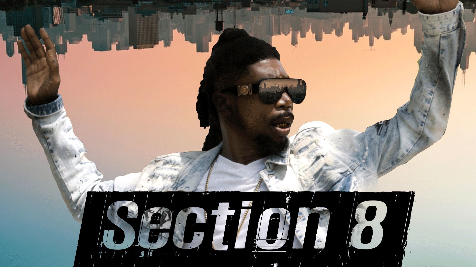 Section 8