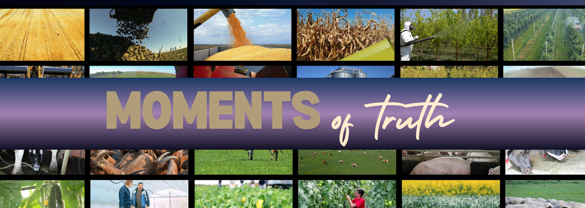 Moments of Truth category