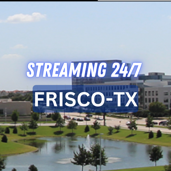 FRISCO TX