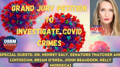 New RN65-Power to the People - A Grand Jury Petition to Investigate Covid Crimes