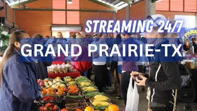 Grand Prairie TX 24/7 Live Channel 