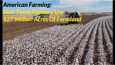 DOC09-How Texas Farmers Use 127 Million Acres Of Farmland - American Farming Documentary