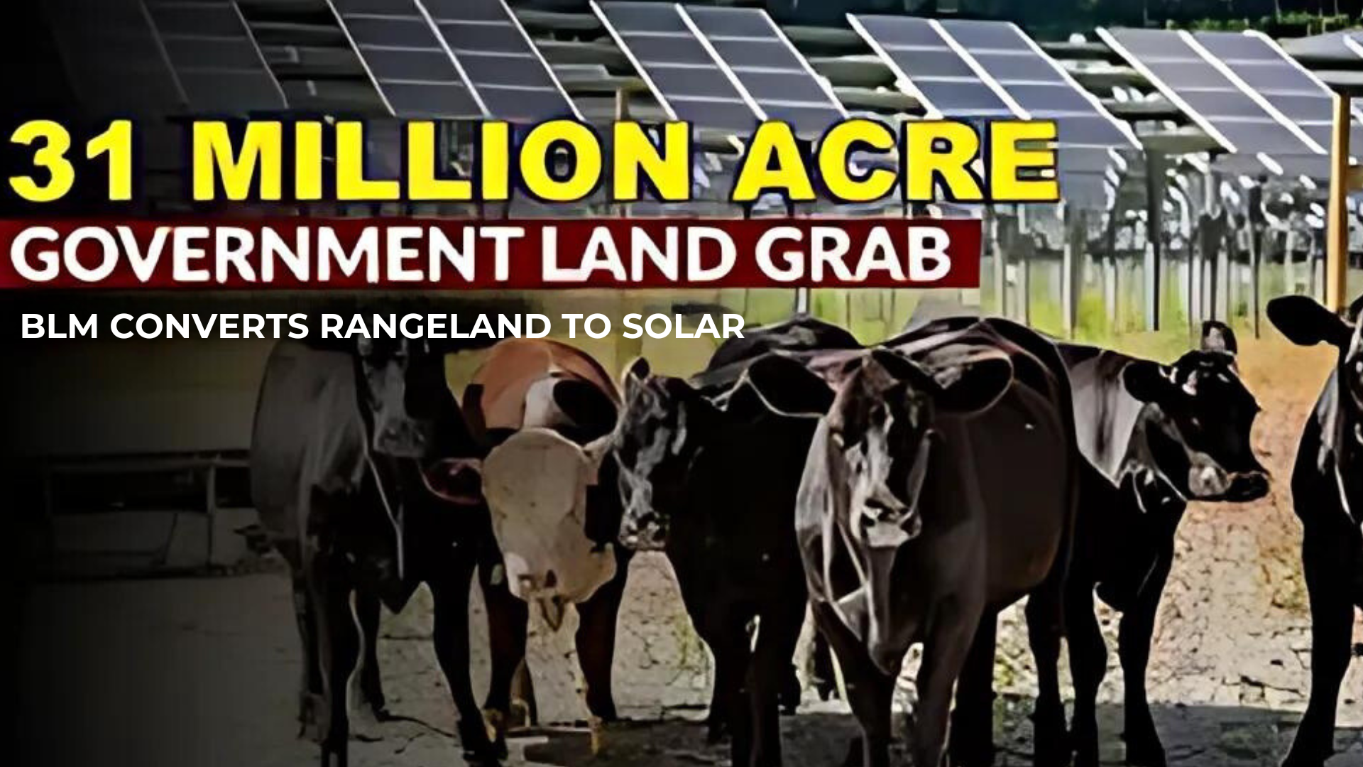 AMT292-Government announces 31 MILLION ACRE LAND GRAB from US Ranchers - As A Man Thinketh